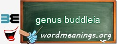 WordMeaning blackboard for genus buddleia